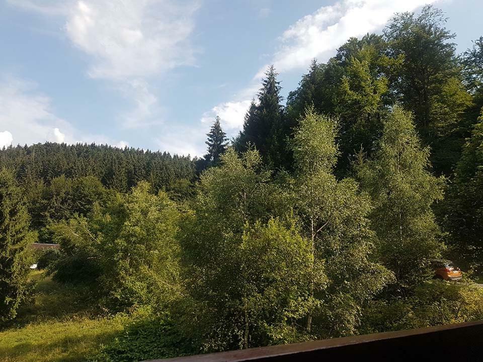 Monteurwohnung Aroba Fehrenbach Eksteriør billede